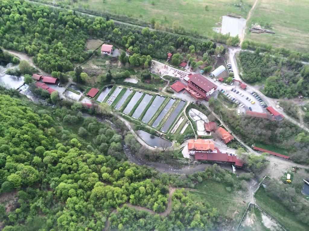 Complex Pastravaria Albota Hotel Arpaşu de Sus Exterior foto