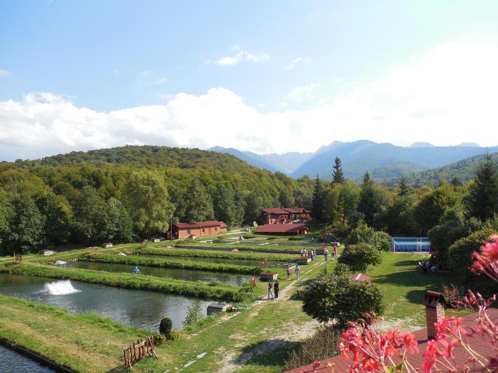 Complex Pastravaria Albota Hotel Arpaşu de Sus Exterior foto