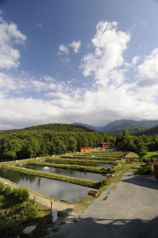 Complex Pastravaria Albota Hotel Arpaşu de Sus Exterior foto